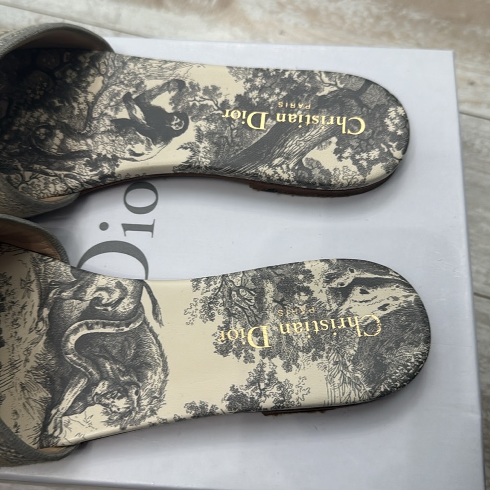 Dior Beige Slide Sandals - Picture 2 of 7